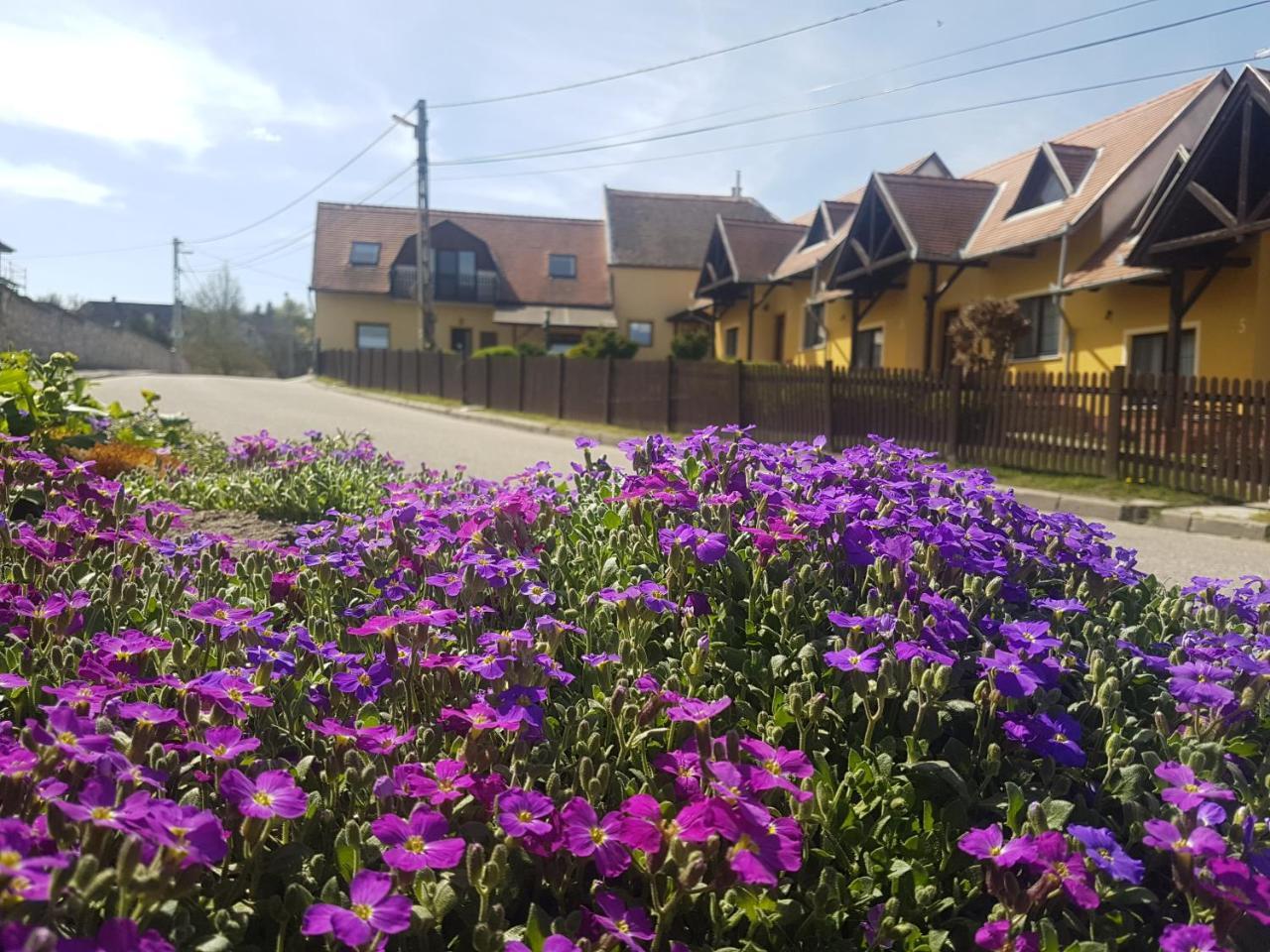 Huber Panzio Bed & Breakfast Fertőrákos Eksteriør bilde